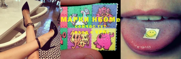 стаф Алзамай