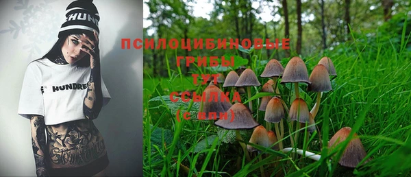 стафф Абаза