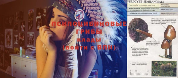 синтетический гашиш Алексин